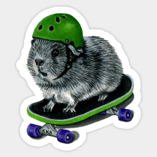 Skateboarding Guinea Pig Helmet Sticker